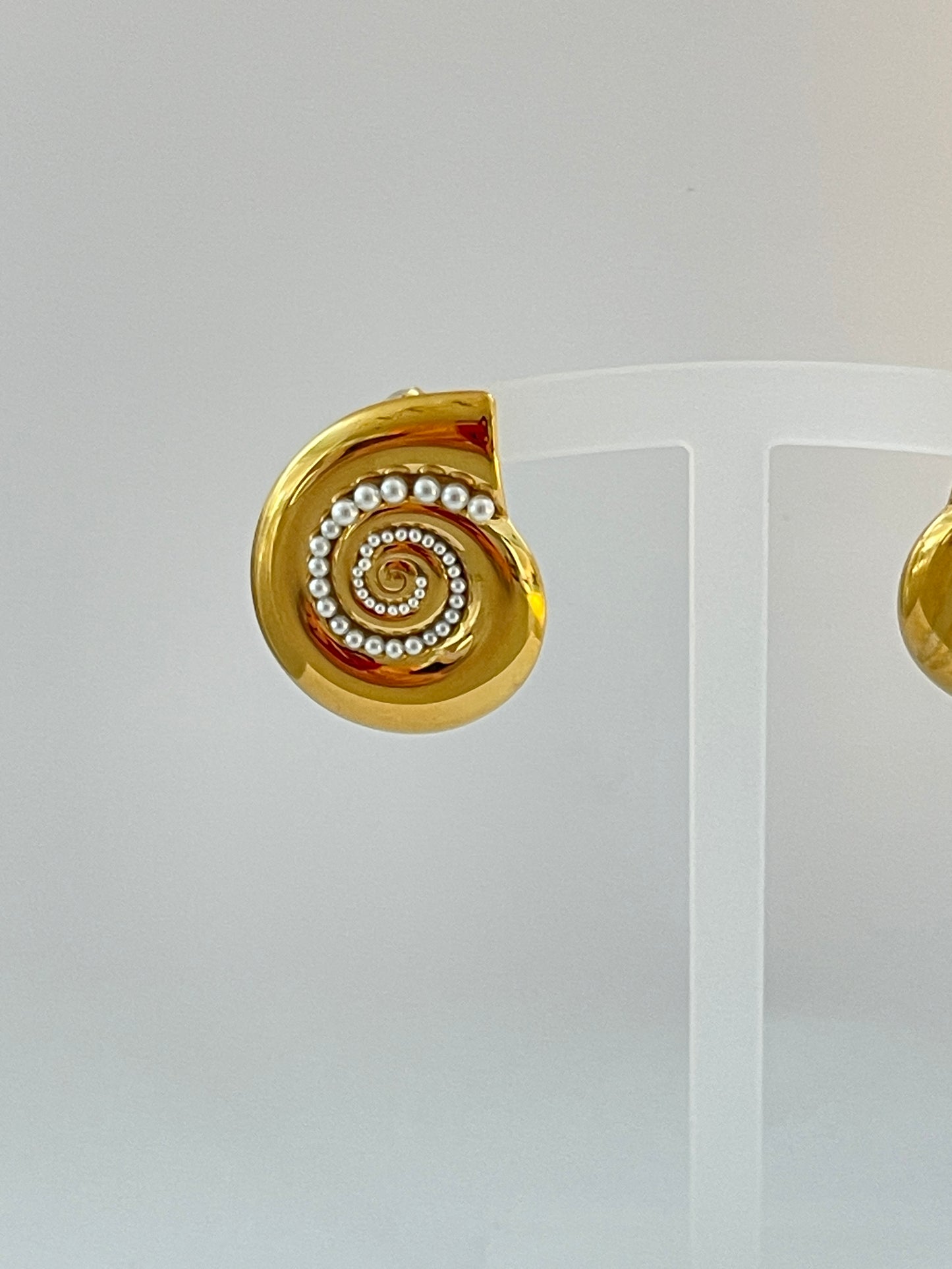 Gold Stainless Steel Earrings