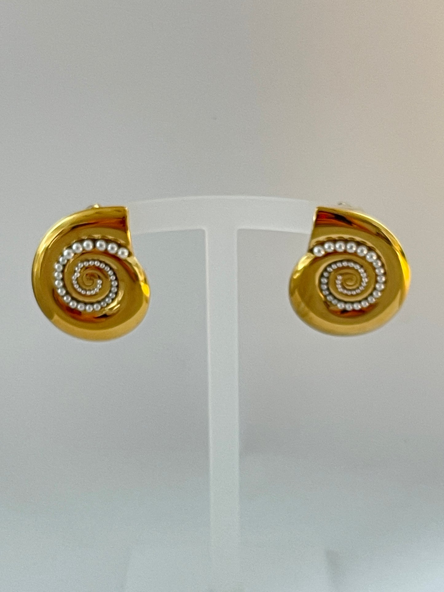 Gold Stainless Steel Earrings